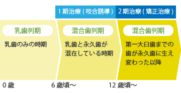 子供の矯正の流れ