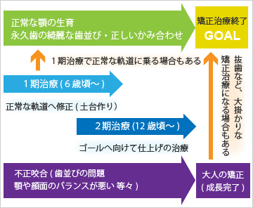 矯正治療の流れ